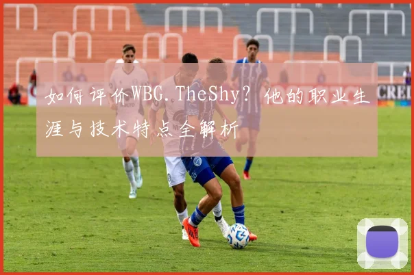 如何评价WBG.TheShy?他的职业生涯与技术特点全解析