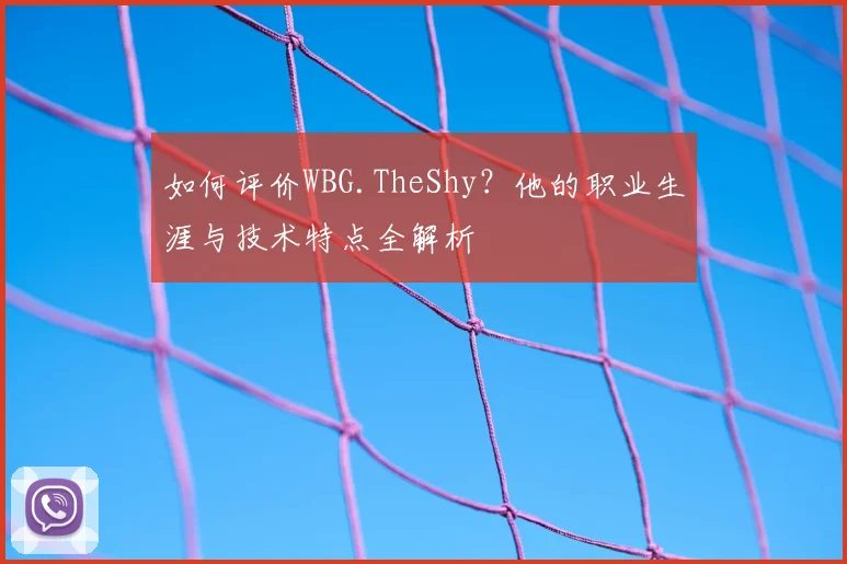 如何评价WBG.TheShy？他的职业生涯与技术特点全解析