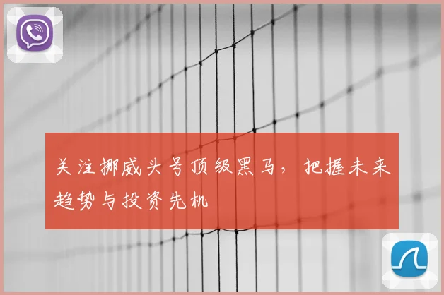 关注挪威头号顶级黑马,把握未来趋势与投资先机