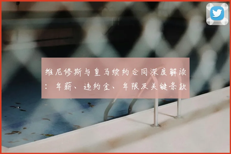 维尼修斯与皇马续约合同深度解读:年薪、违约金、年限及关键条款全知道